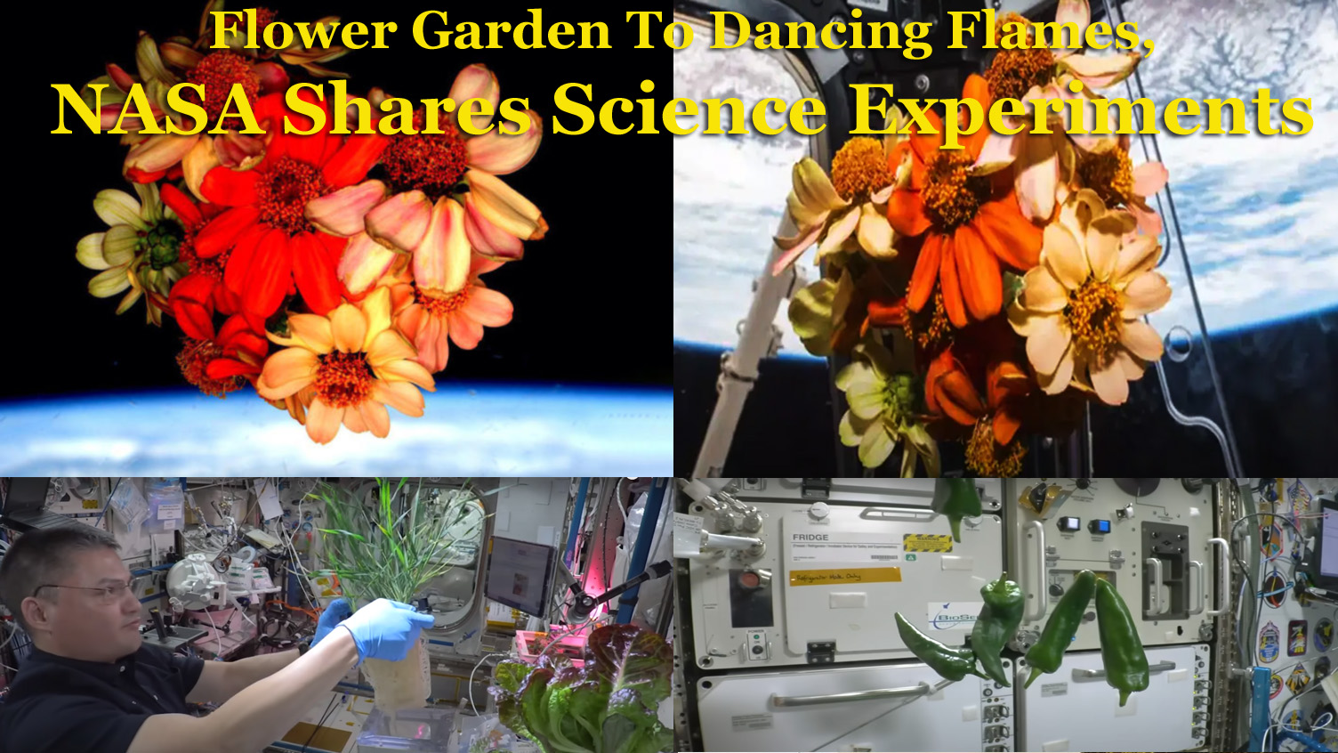 Flower Garden To Dancing Flames, NASA Shares Science Experiments